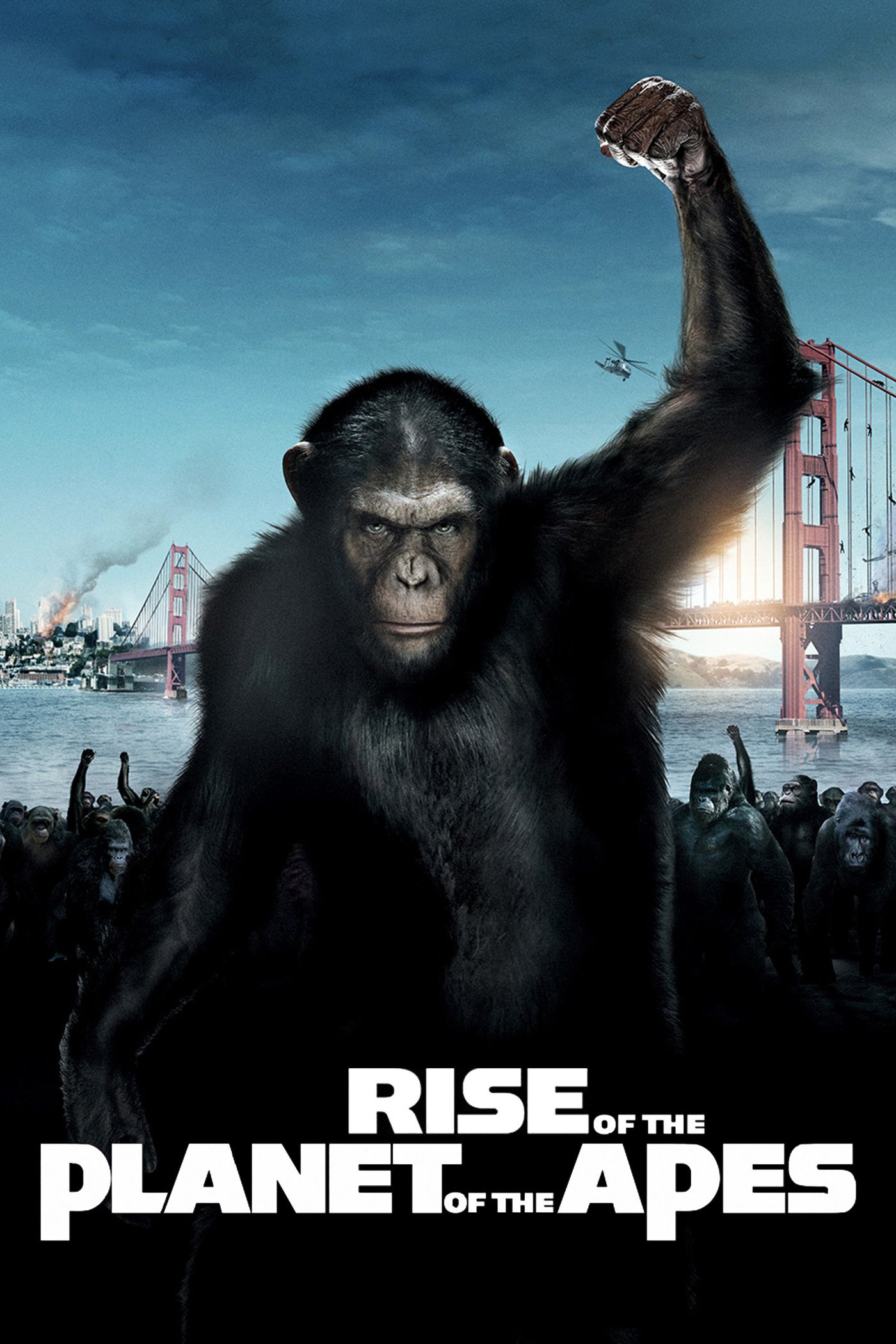 Poster de la película "Rise of the Planet of the Apes"