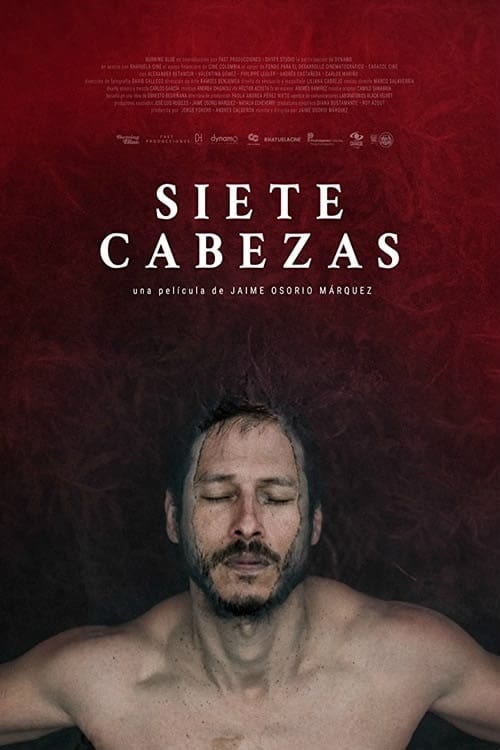 Poster de la película "Siete Cabezas"