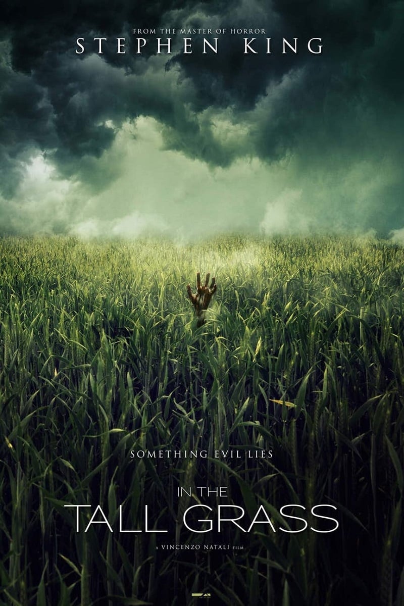 Poster de la película "In the Tall Grass"