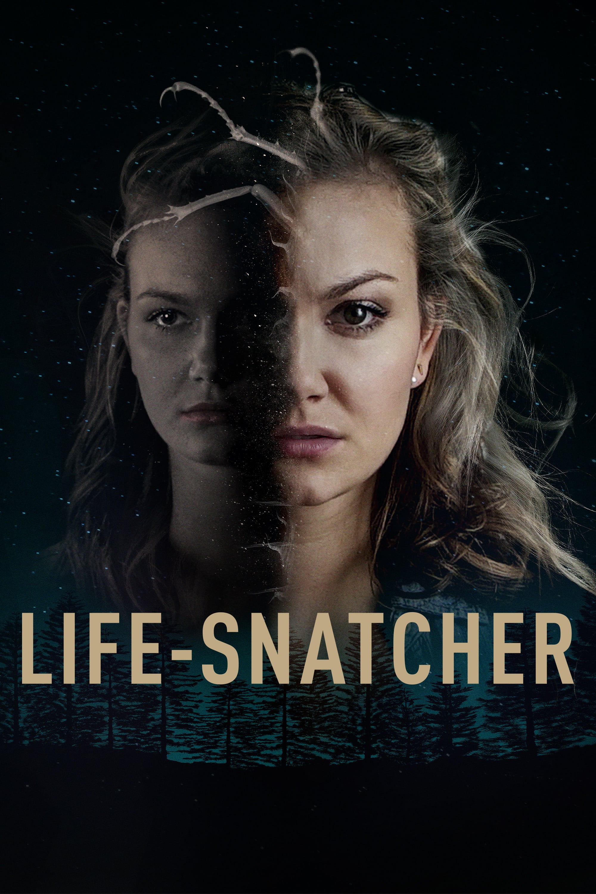 Poster de la película "Snatchers"