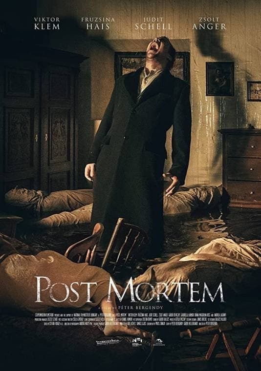 Poster de la película "Post Mortem"